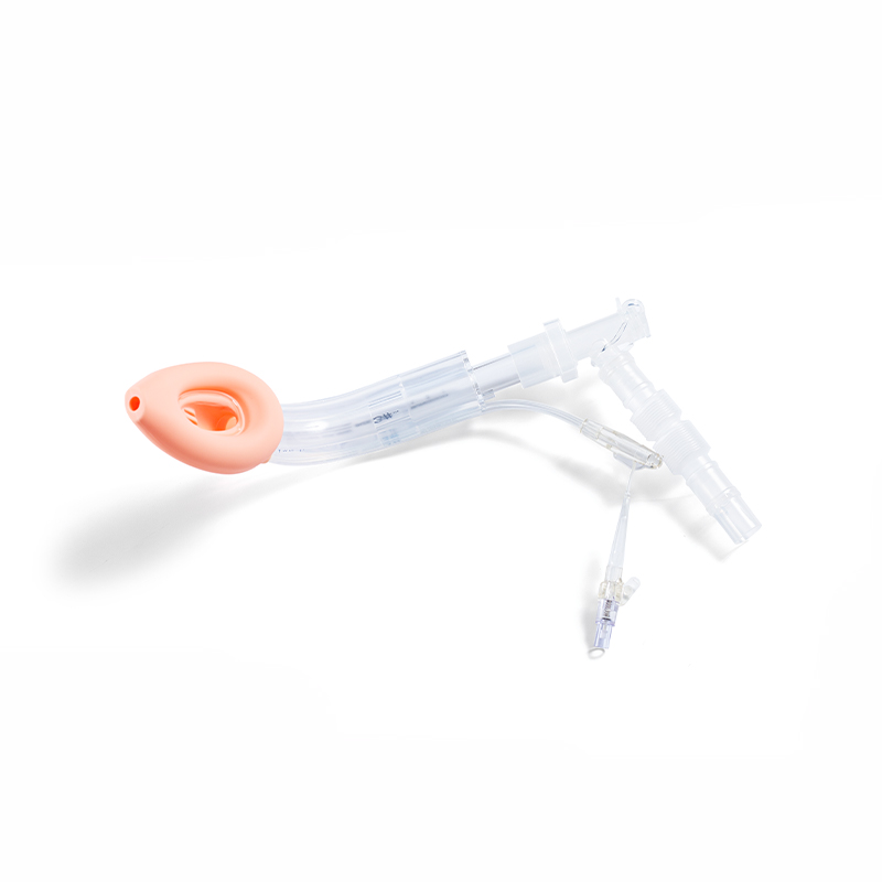 Specialformad anti-aspiration larynxmask luftvägar